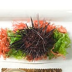 銀座シェ・トモのコース写真