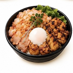 ローストポーク＆鶏ももグリル丼