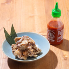 ガイトード 鶏のからあげ(4ヶ)