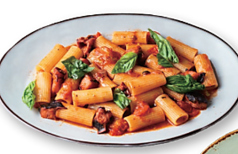 タコのトマト煮込みリガトーニ