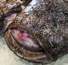 鮨・懐石・京料理　卓楽の写真2