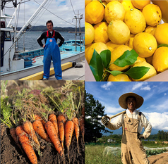 和光　日本酒バル　まいかけの写真2