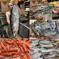 日替わりオススメ鮮魚！2026/06/18 今日のオススメ♪