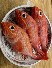 釣きんき