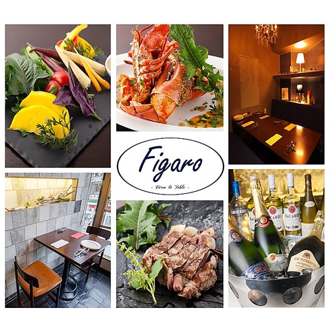 イタリアン スパニッシュ Figaro フィガロ 本厚木(本厚木/居酒屋