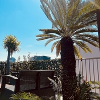 緑豊かな芝生とモダンな設備が彩る贅沢なアウトドア空間