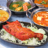 インド居酒屋 コイラの詳細