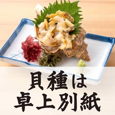 本日入荷 貝単品