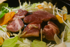 ラム ファントムの写真