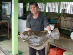 獲れたて！鮮魚満載☆