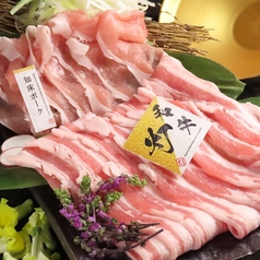 【全220種×掘りごたつ個室】食べ飲み放題　さっぽろ灯 すすきの駅前店の特集写真