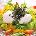 料理メニュー写真 野菜たっぷりサラダ/自家製豆富サラダ/生ハムシーザーサラダ