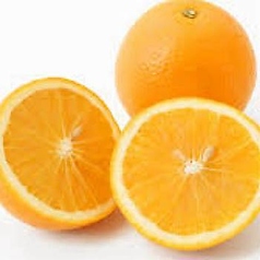 各生搾りサワー レモン・グレープフルーツ・キウイ・オレンジ