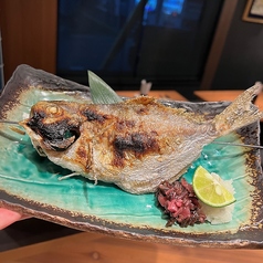 豆鯛
