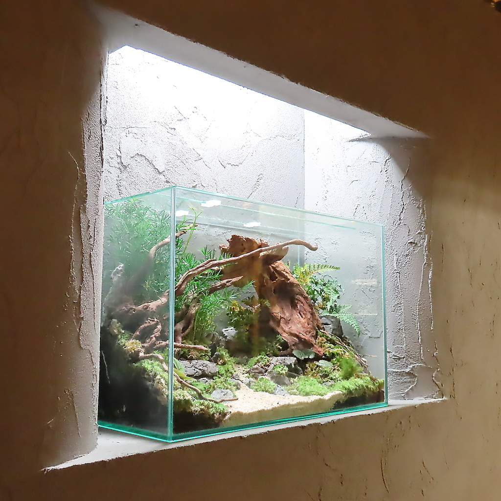 木目を基調とした店内は洗練された内装で、落ち着いた空間を演出。特別なひとときをお過ごしください