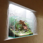 木目を基調とした店内は洗練された内装で、落ち着いた空間を演出。特別なひとときをお過ごしください