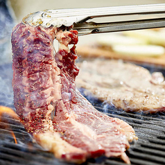 ジャングルなんばの特集写真