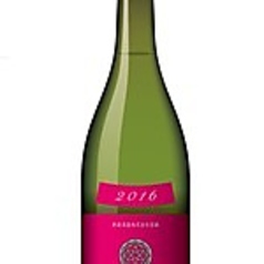 秋櫻～コスモス～　グラス