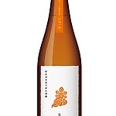 陽乃鳥　グラス