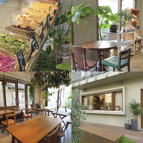 温かみのある店内　ペットと一緒にくつろげる、地域に開かれたヴィーガンカフェ