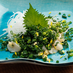 帆立の森/真鯛の森