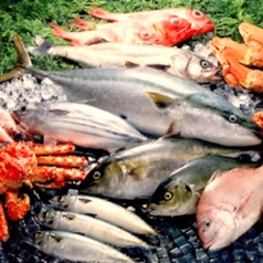 【新鮮】朝獲れ鮮魚のお刺身