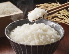 白ご飯
