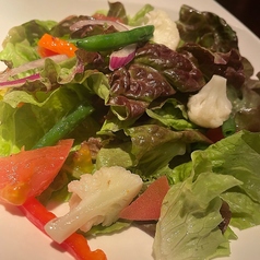 新鮮野菜のグリーンサラダ