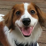 テラス席ペットＯＫ◎お散歩中の一息にも大変好評です♪