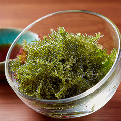 沖縄県中城産プチプチ海ブドウの写真