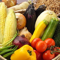 季節の食材をふんだんに使用した本格料理を堪能