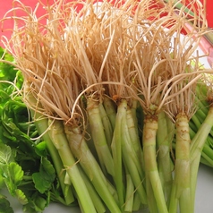 ◆TV放映◆仙台せりと丸鶏タッカンマリ鍋【独自調理法と絶品ダレ】一般的なせり鍋に飽きた方にも好評です。の写真