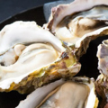 料理メニュー写真&nbsp;本日の厳選 生牡蠣（産地はその日によって変わります）