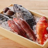 酒と魚とめし 濱いちもんめ 横浜店のおすすめ料理2