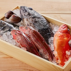 酒と魚とめし 濱いちもんめ 横浜店のおすすめ料理2