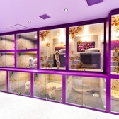 i cafe アイカフェ 北野店の雰囲気2