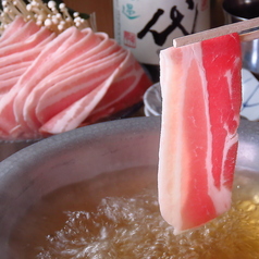 shigi44 肉刺しと餃子 TAMAGONOMIGIUEの特集写真