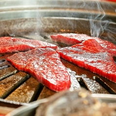焼肉とバニーガール五反田店のコース写真
