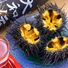 毎朝直接買い付け♪旬を味わうこだわりの新鮮ネタの品々