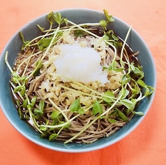 大根おろし(そば・うどん)