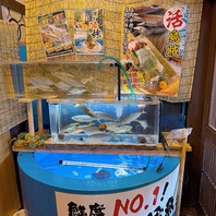 【生け簀】活魚をご提供！