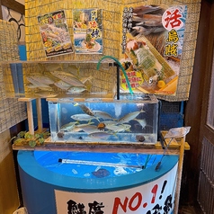 【生け簀】活魚をご提供!