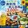 はかた商店 新浦安店