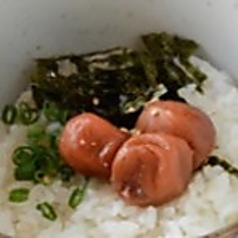 梅茶漬