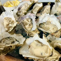 BBQ レストラン TerraceODAWARA テラス小田原のコース写真