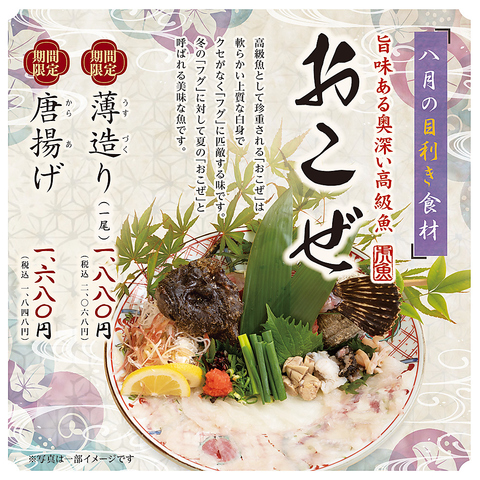 おとなの大漁旗の期間限定食材「おこぜ」/詳細は料理ページへ