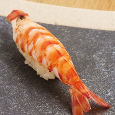 店主おまかせ(お一人様)