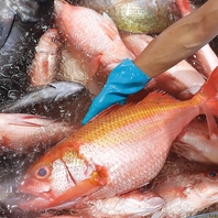 明治10年創業の豊洲魚屋から直送の海鮮