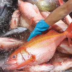 海鮮とおでん 食べ飲み放題居酒屋 おすすめ屋PREMIUM 神田秋葉原店の写真2