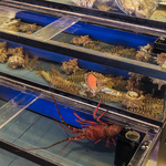 三段の生簀から活きたまま調理！店主が毎日仕入れる新鮮魚介料理は絶品です！